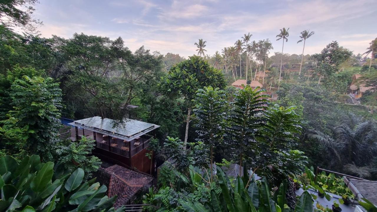 The Sebali Resort Ubud Extérieur photo View of the house from the top of the hill